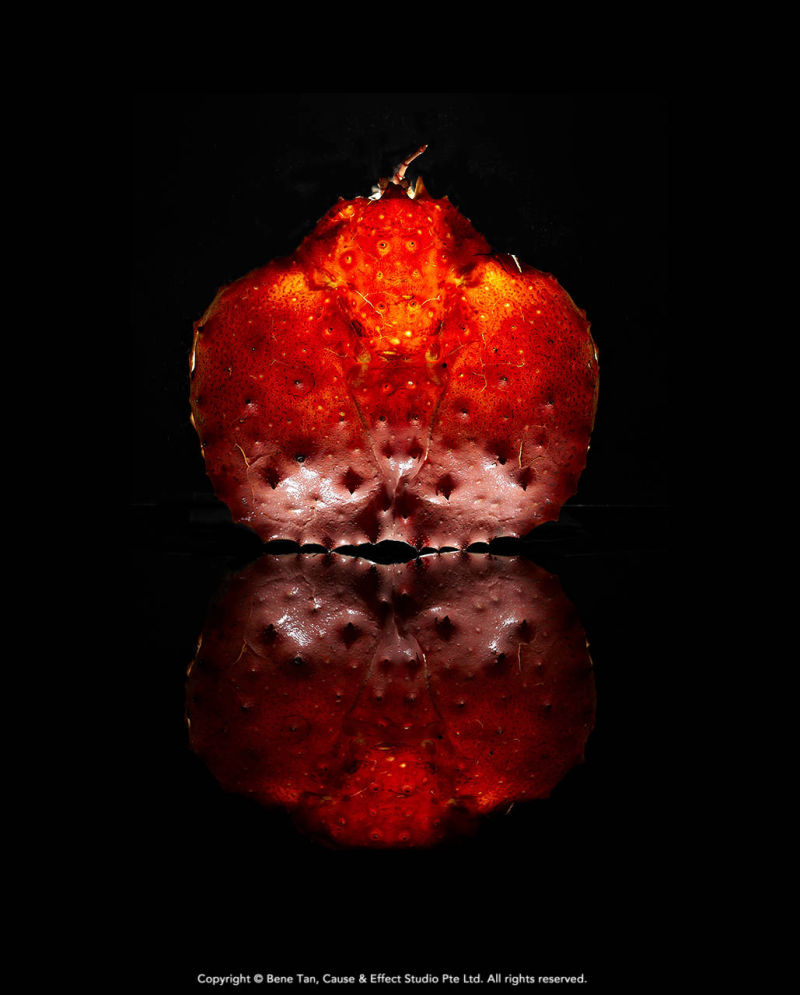 Fine art food photography