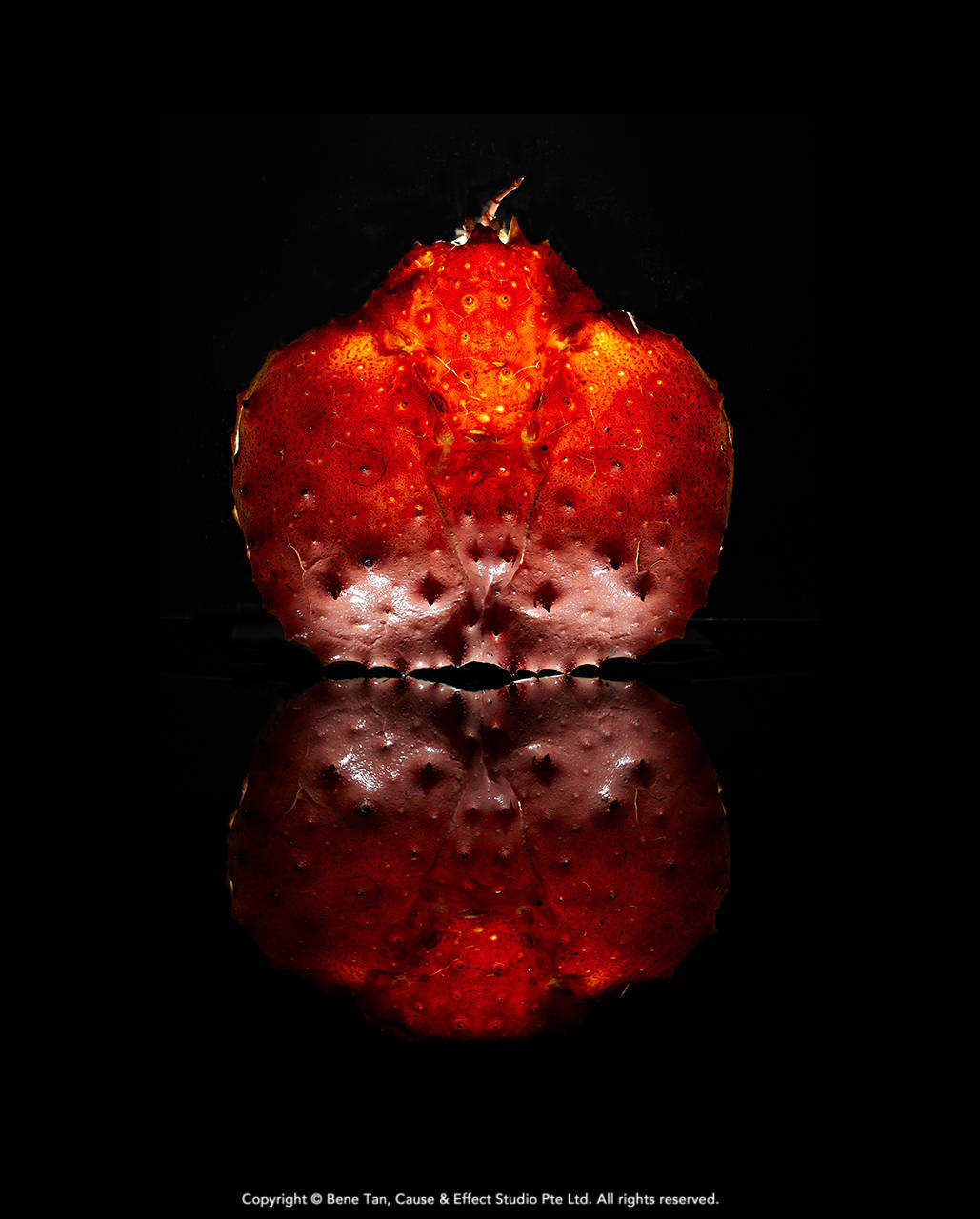 Fine art food photography