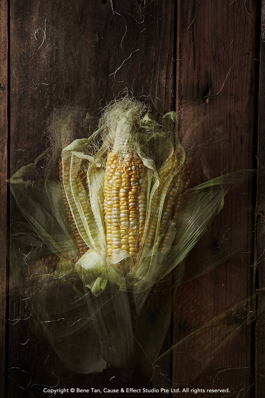 Fine art food photography