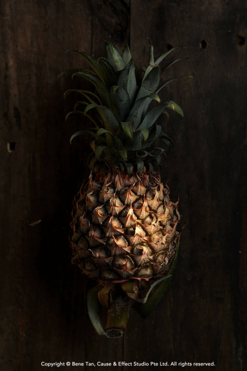 Fine art food photography