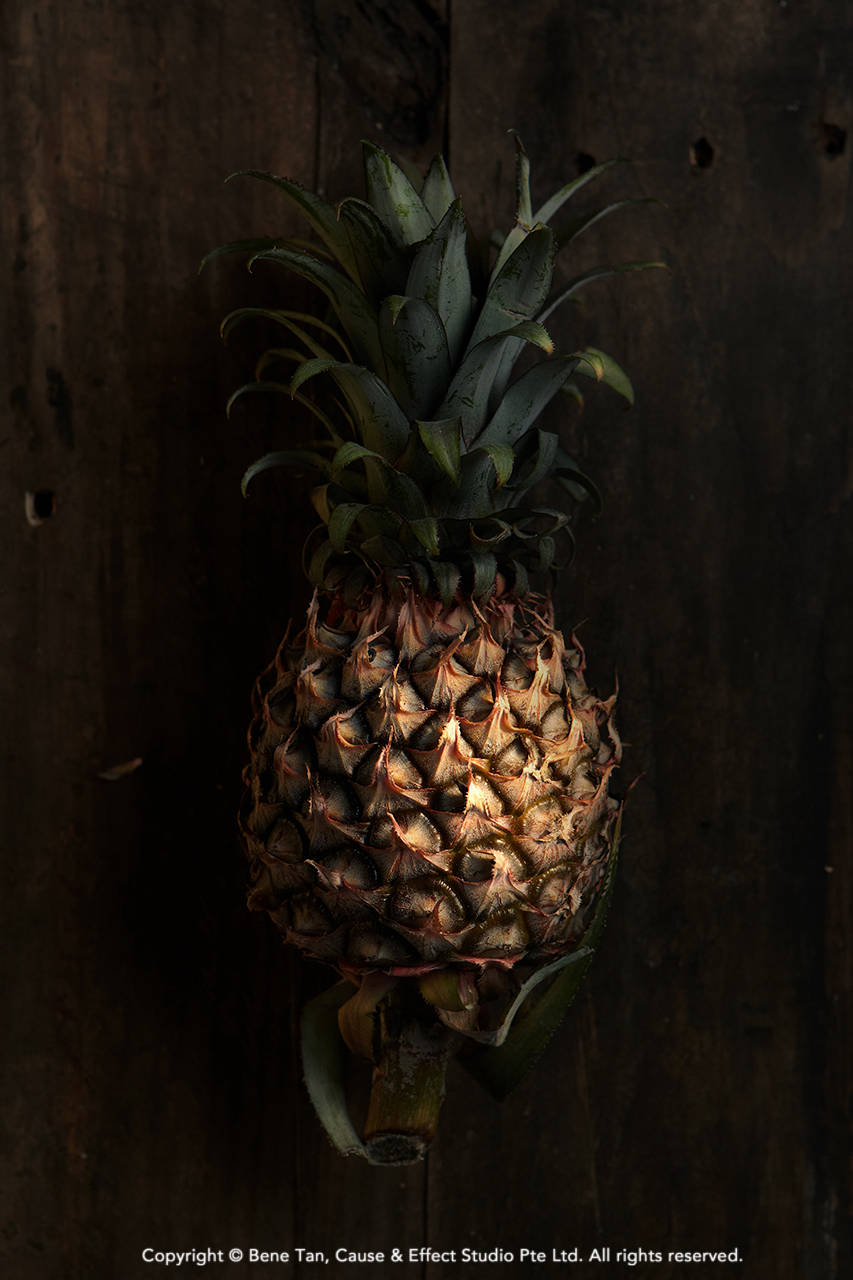 Fine art food photography