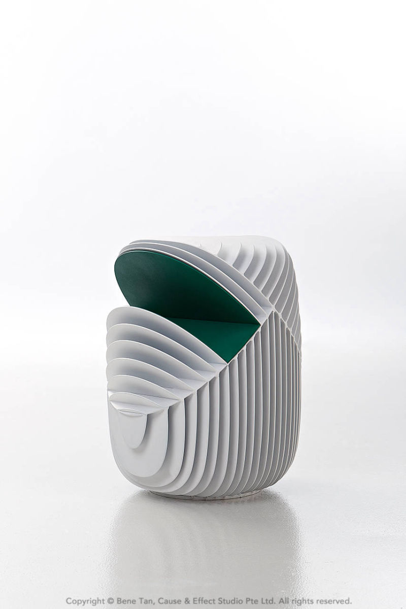 THE FIN SERIES by NextofKin